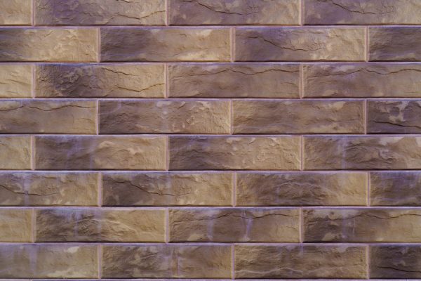 WhatsApp Image 2026-02-11 at 1.38.52 PM