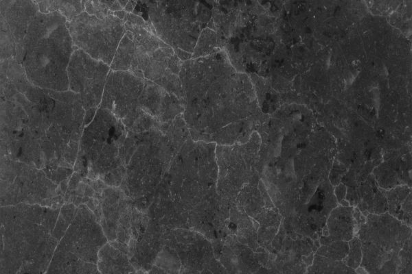 WhatsApp Image 2026-02-11 at 2.40.39 PM