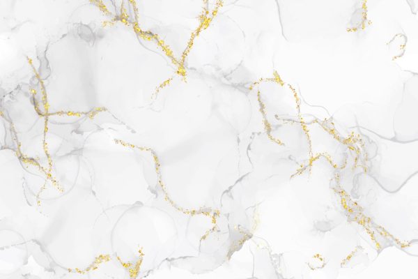 WhatsApp Image 2026-02-11 at 2.40.48 PM