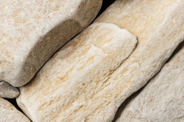 WhatsApp Image 2026-02-11 at 2.41.44 PM