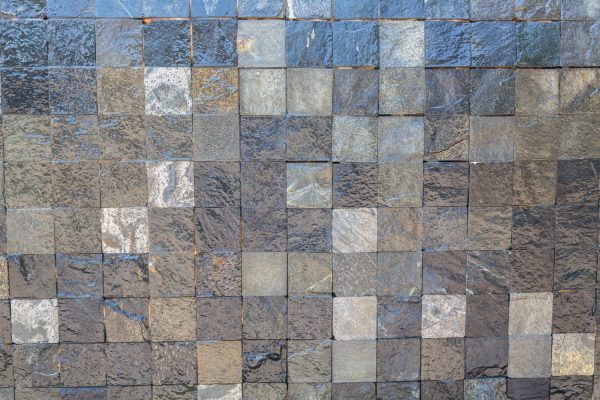 WhatsApp Image 2026-02-11 at 2.42.31 PM