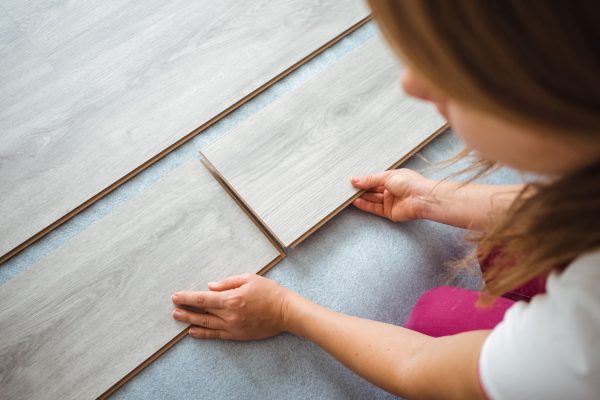 WhatsApp Image 2026-02-11 at 2.53.42 PM