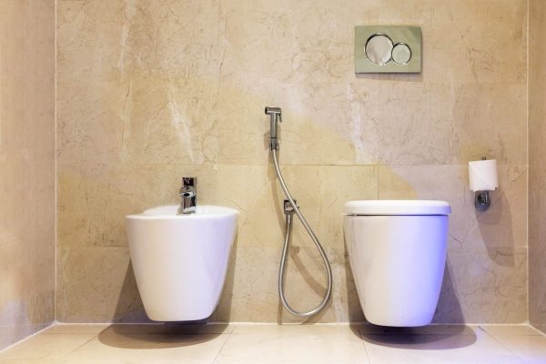 WhatsApp Image 2026-02-11 at 3.08.00 PM (1)