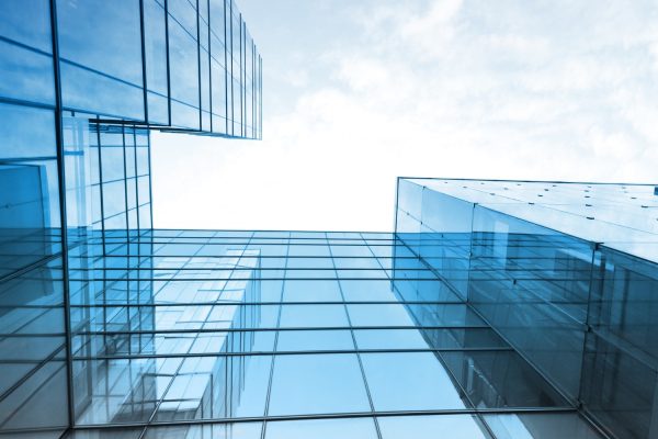 WhatsApp Image 2026-02-11 at 3.54.48 PM