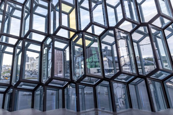 WhatsApp Image 2026-02-11 at 3.57.05 PM